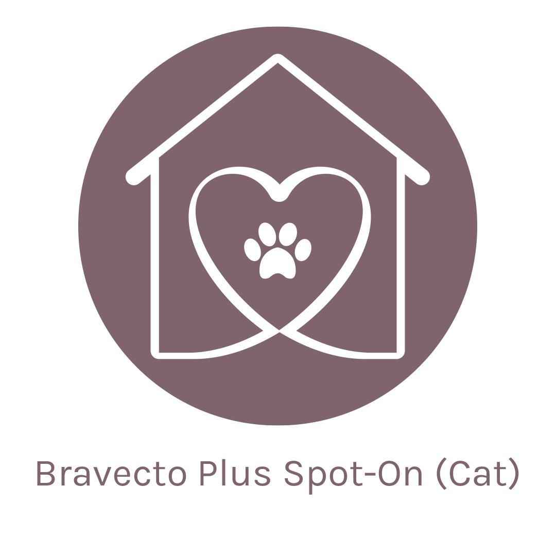 Bravecto Plus Spot-On – Cats